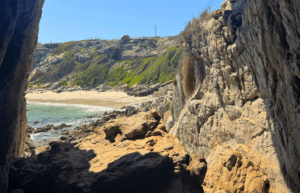 south-africa-big-cat-refuge-&-marcela-12