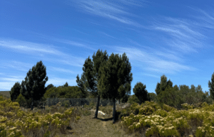 south-africa-big-cat-refuge-&-marcela-19