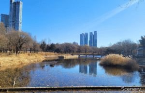 south-korea-seoul-culture-week-childcare-volunteering-37