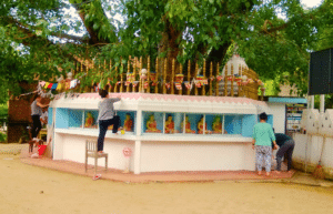 sri-lanka-kandy-community-construction-&-renovation-38