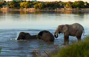 african-wildlife-conservation-private-reserve-1