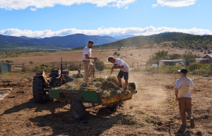 african-wildlife-conservation-private-reserve-14