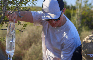 african-wildlife-conservation-private-reserve-16