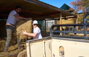 african-wildlife-conservation-private-reserve-17