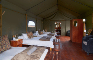 african-wildlife-conservation-private-reserve-23