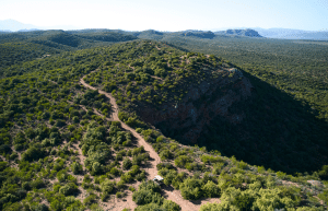 african-wildlife-conservation-private-reserve-24