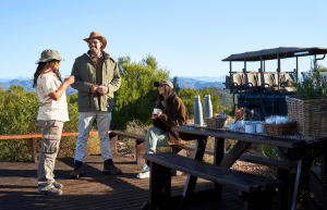 african-wildlife-conservation-private-reserve-25