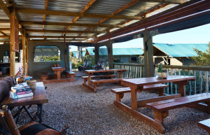 african-wildlife-conservation-private-reserve-26