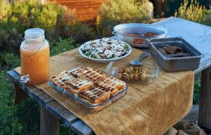 african-wildlife-conservation-private-reserve-3