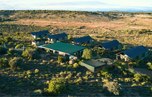 african-wildlife-conservation-private-reserve-31