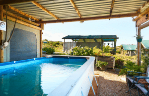 african-wildlife-conservation-private-reserve-35