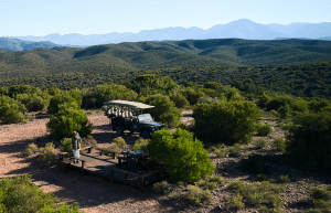 african-wildlife-conservation-private-reserve-36