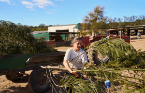 african-wildlife-conservation-private-reserve-43
