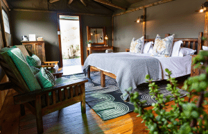 african-wildlife-conservation-private-reserve-44