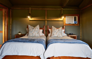 african-wildlife-conservation-private-reserve-45