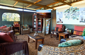 african-wildlife-conservation-private-reserve-49