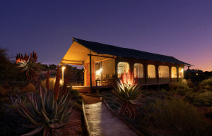 african-wildlife-conservation-private-reserve-53