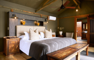 african-wildlife-conservation-private-reserve-54