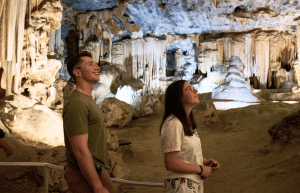 african-wildlife-conservation-private-reserve-7