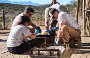 african-wildlife-conservation-private-reserve-8