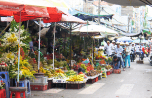 vietnam-ha-long-bay-kindergarten-volunteering-cultural-program-9