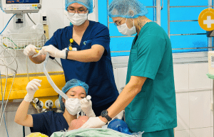 vietnam-medical-placement-in-ha-long-bay-1