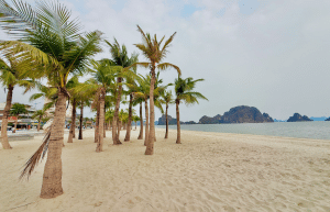 vietnam-medical-placement-in-ha-long-bay-26