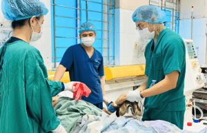 vietnam-medical-placement-in-ha-long-bay-6