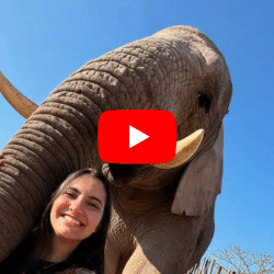 Marcela Q. <br> Brazil