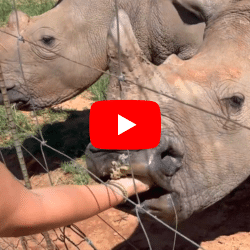 Alex P. <br> United States