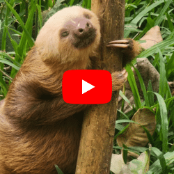 Jill H. <br> United States