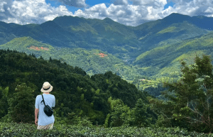 china-giant-panda-volunteer-cultural-tour-1