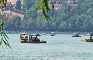 china-giant-panda-volunteer-cultural-tour-3