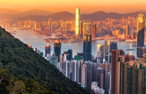 china-giant-panda-volunteer-cultural-tour-36