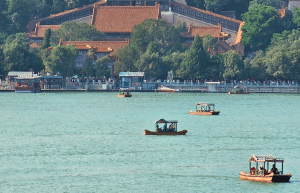 china-giant-panda-volunteer-cultural-tour-7