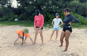 japan-sea-turtle-conservation-volunteering-in-okinawa-11
