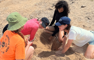 japan-sea-turtle-conservation-volunteering-in-okinawa-12