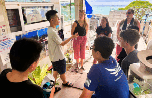 japan-sea-turtle-conservation-volunteering-in-okinawa-17
