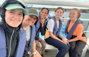 japan-sea-turtle-conservation-volunteering-in-okinawa-2
