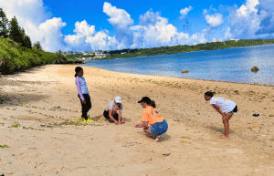 japan-sea-turtle-conservation-volunteering-in-okinawa-20