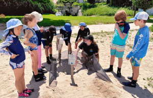 japan-sea-turtle-conservation-volunteering-in-okinawa-22