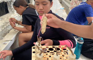 japan-sea-turtle-conservation-volunteering-in-okinawa-26