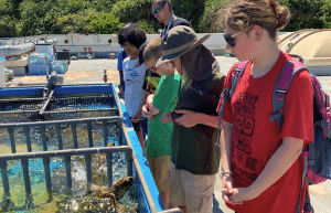 japan-sea-turtle-conservation-volunteering-in-okinawa-29