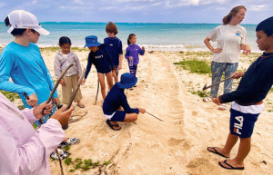 japan-sea-turtle-conservation-volunteering-in-okinawa-30