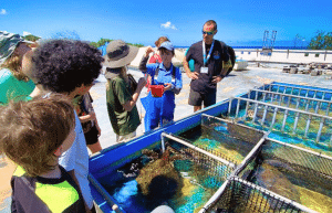 japan-sea-turtle-conservation-volunteering-in-okinawa-31