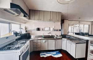 japan-sea-turtle-conservation-volunteering-in-okinawa-34