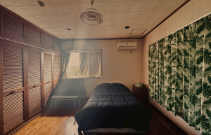 japan-sea-turtle-conservation-volunteering-in-okinawa-36