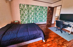 japan-sea-turtle-conservation-volunteering-in-okinawa-37