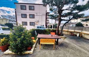 japan-sea-turtle-conservation-volunteering-in-okinawa-39