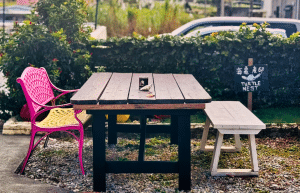 japan-sea-turtle-conservation-volunteering-in-okinawa-40